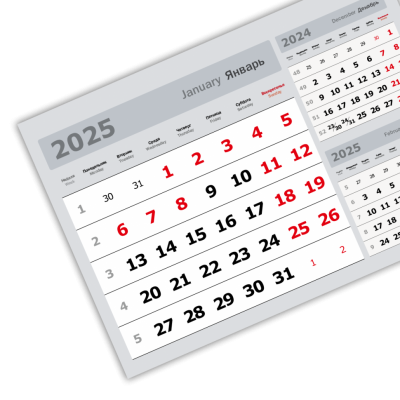 2025 - «3 в одном» мелованные мини «3 в 1» (297*207) серый